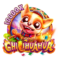 Facai : CHILIHUAHUA - POCKETSLOT777