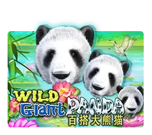 Joker123 : Wild Giant Panda - POCKETSLOT777