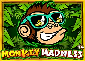 Pragmatic : Monkey Madness - POCKETSLOT777