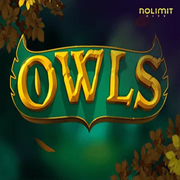 NolimitCity : Owls - POCKETSLOT777