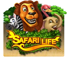 Joker123 : Safari Life - POCKETSLOT777