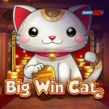 Big Win Cat - POCKETSLOT777